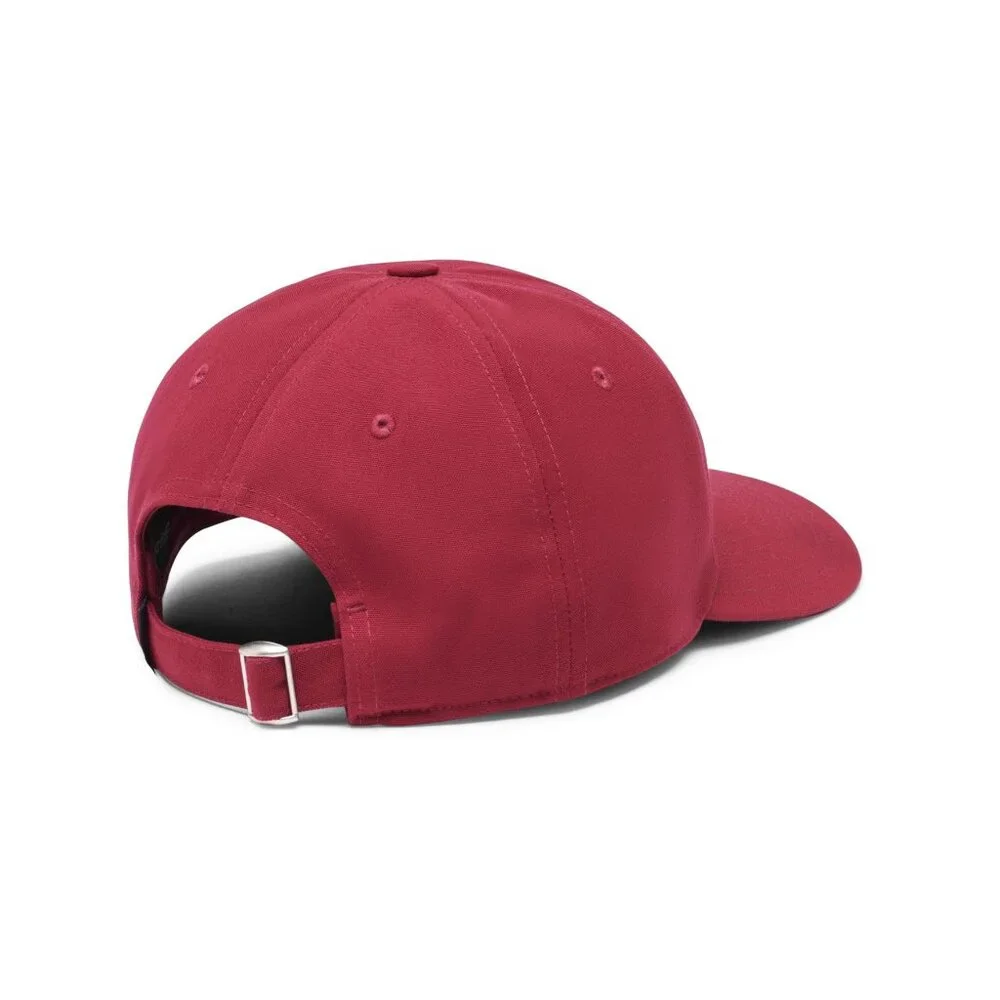 cotopaxi dad hat